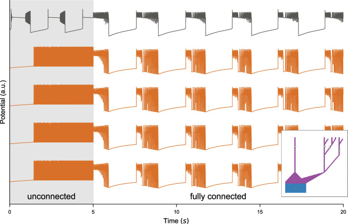 Figure 6