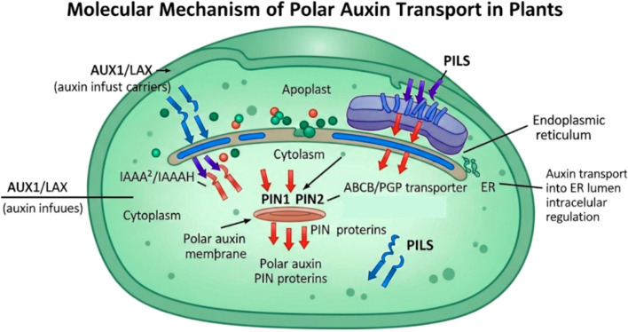 Figure 6
