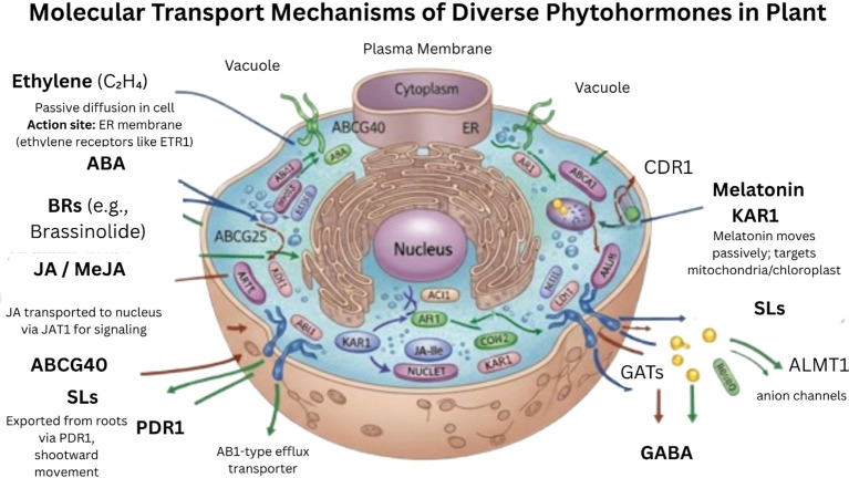 Figure 11
