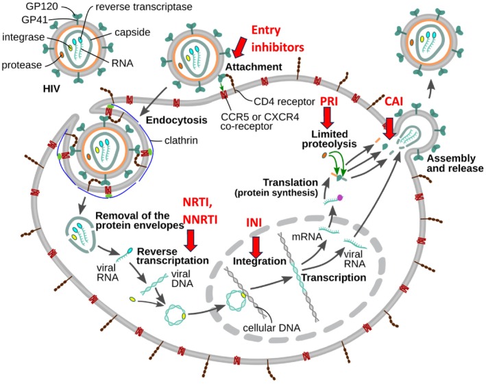 Figure 2