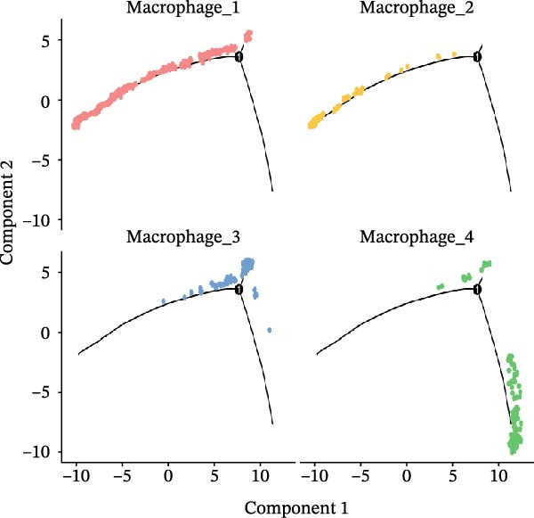 Figure 21