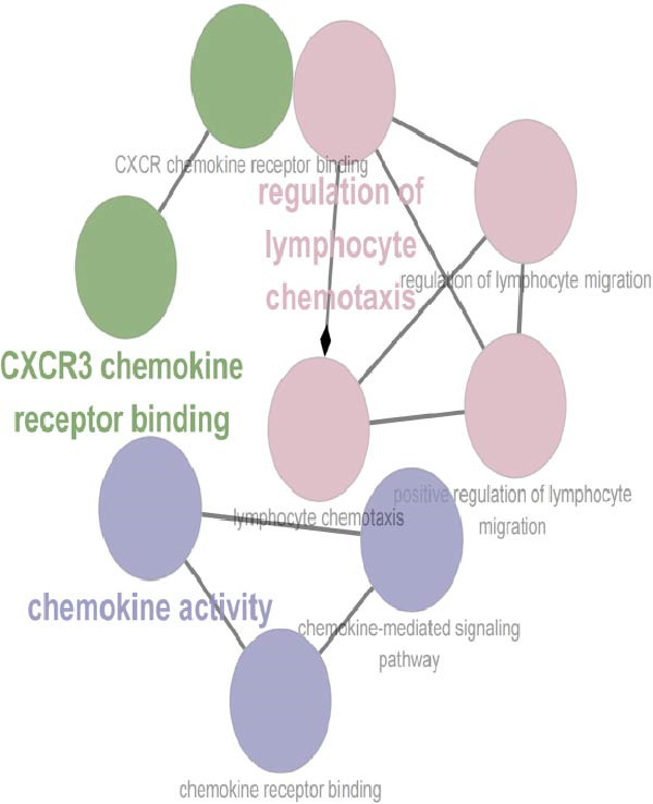 Figure 24
