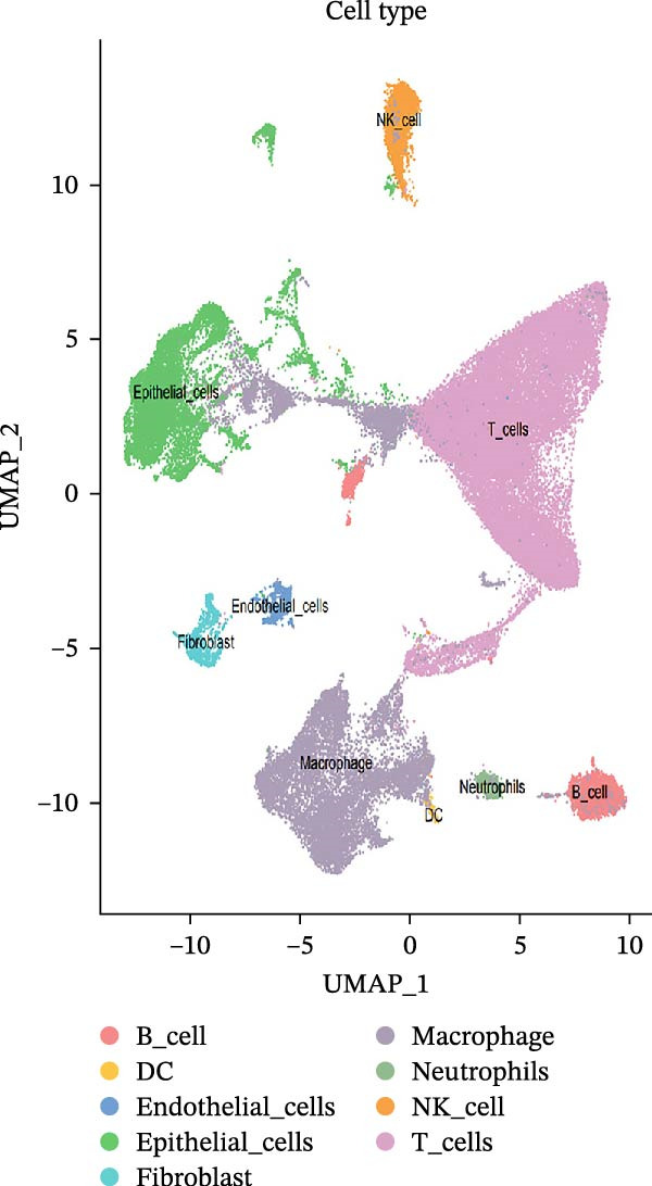 Figure 25