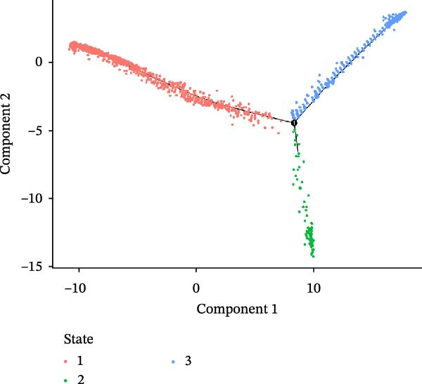 Figure 33