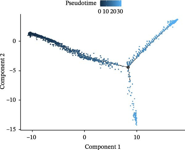 Figure 34