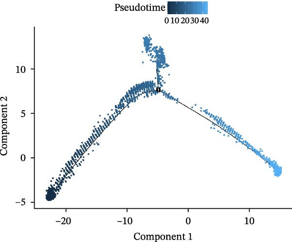 Figure 42