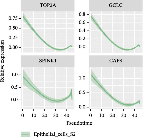 Figure 48