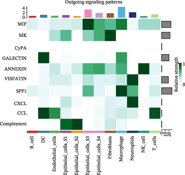 Figure 49