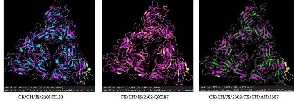 Figure 12