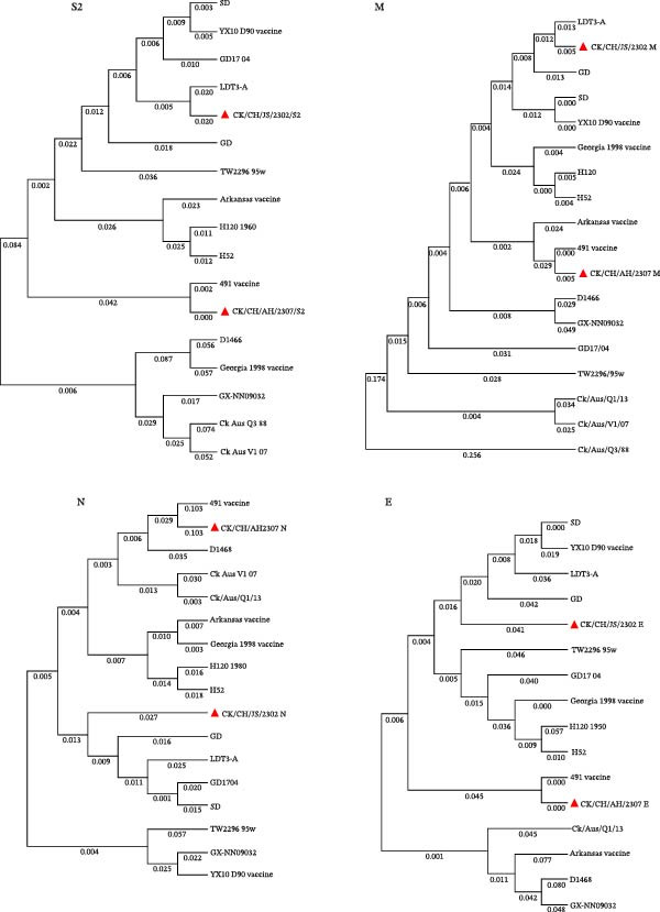 Figure 14