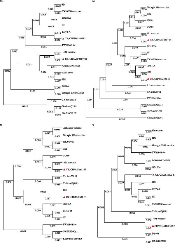 Figure 20
