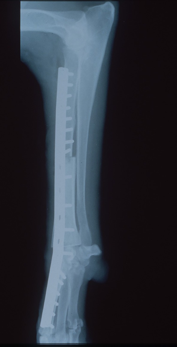 Figure 7