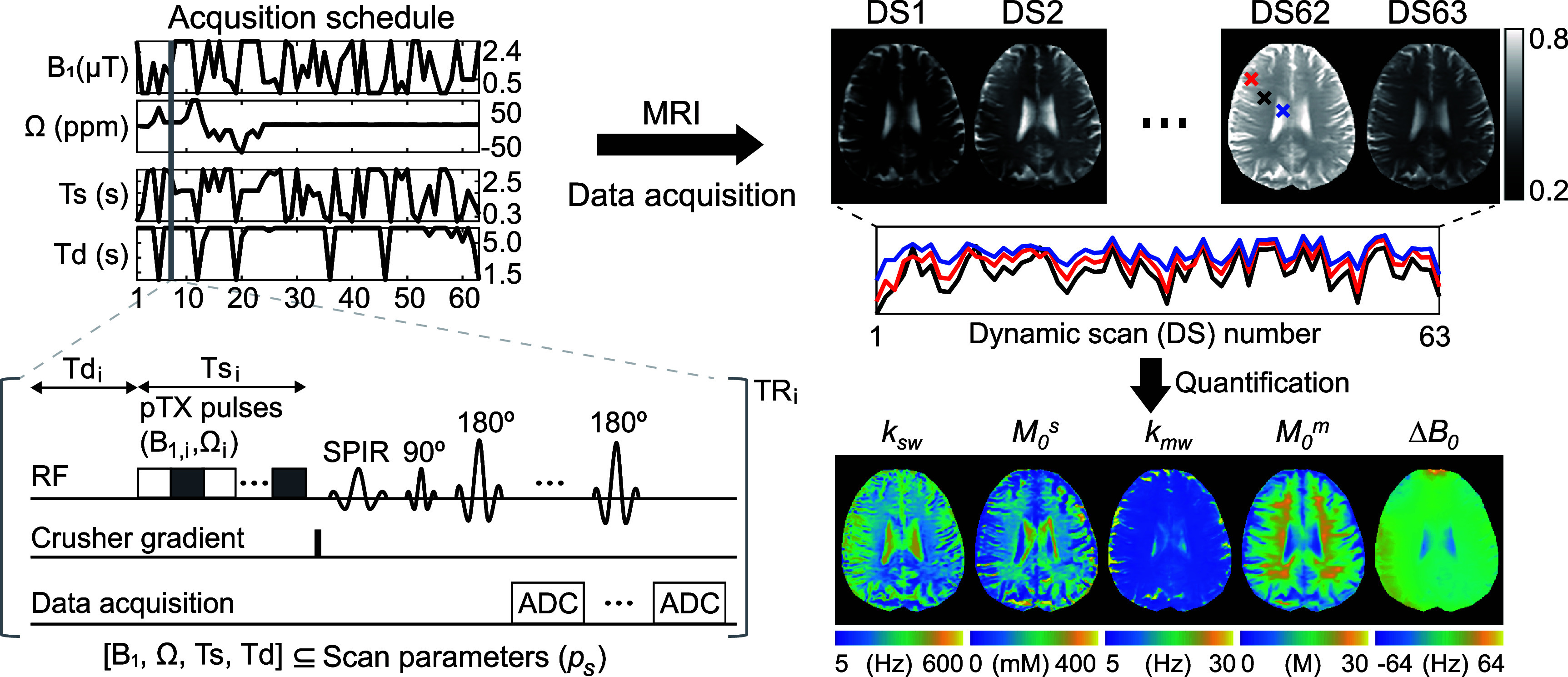Figure 31