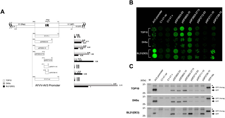 Figure 5