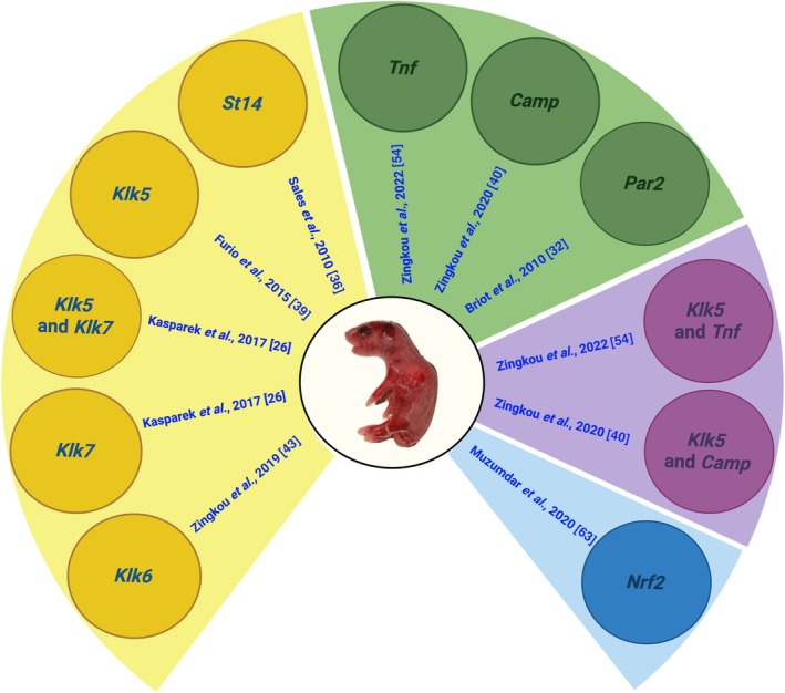 Figure 5