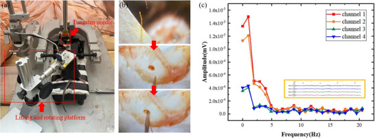 Figure 11