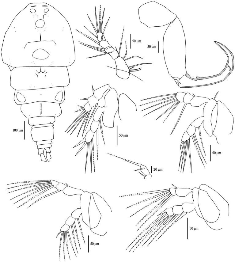 Figure 4