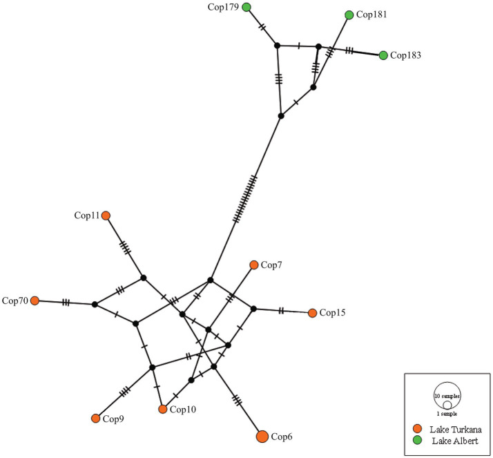 Figure 10