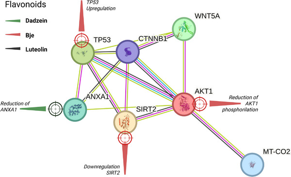 Figure 5