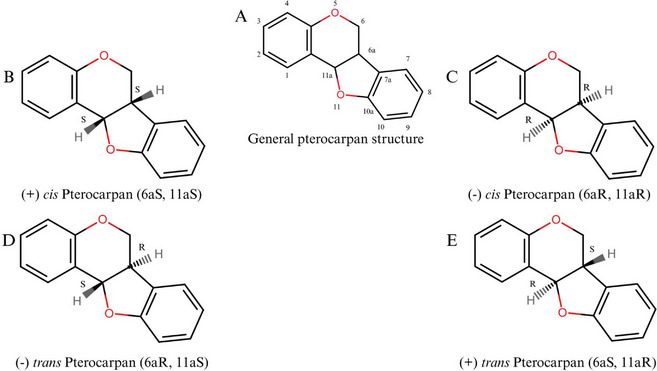Figure 8