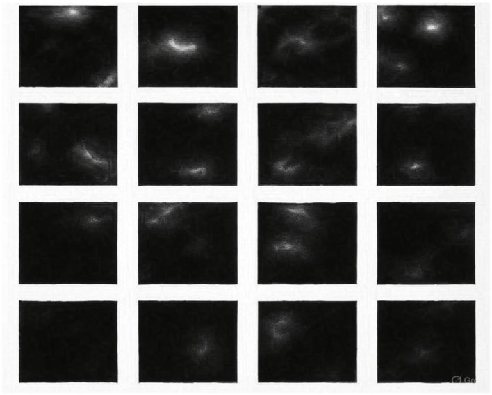 Figure 8