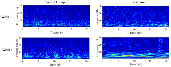 Figure 7