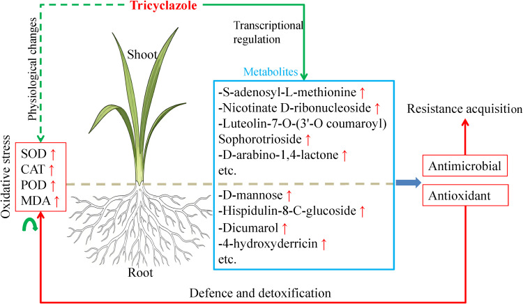 Figure 9