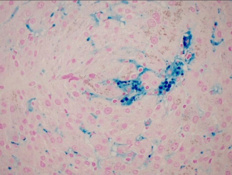 Figure 10