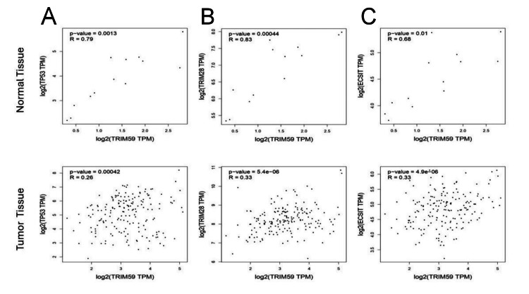 Figure 20