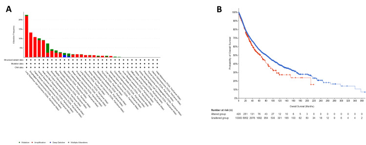 Figure 21