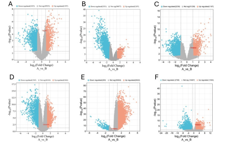 Figure 22
