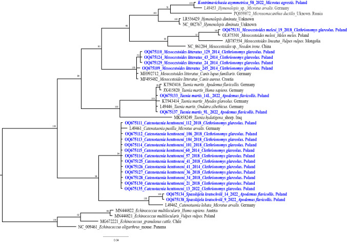 Figure 2