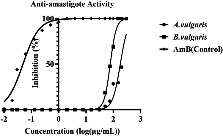 Figure 8
