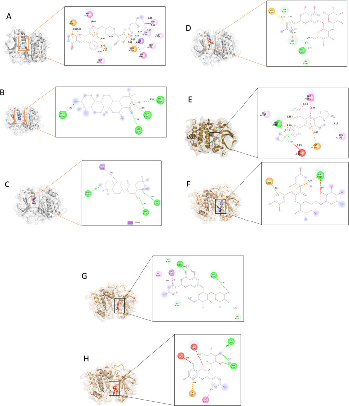 Figure 12