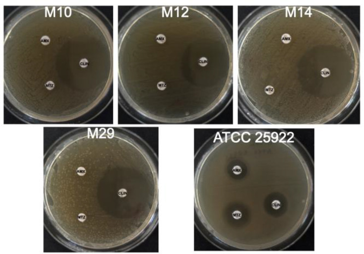 Figure 2