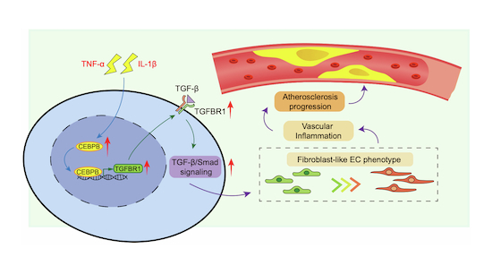 Figure 20