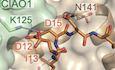 Figure 13