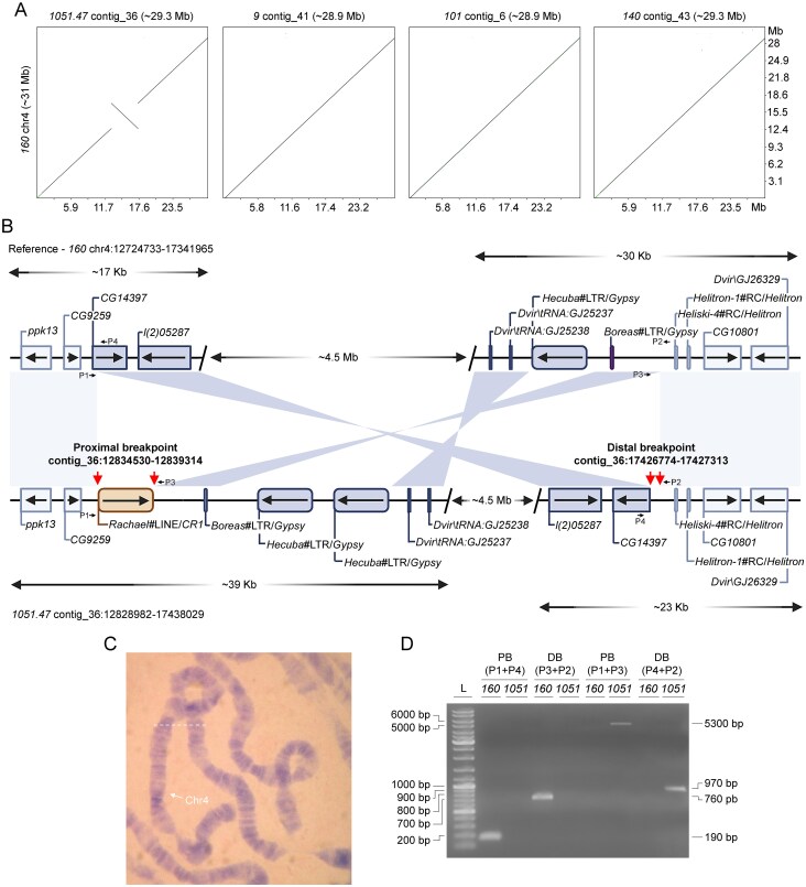 Figure 10