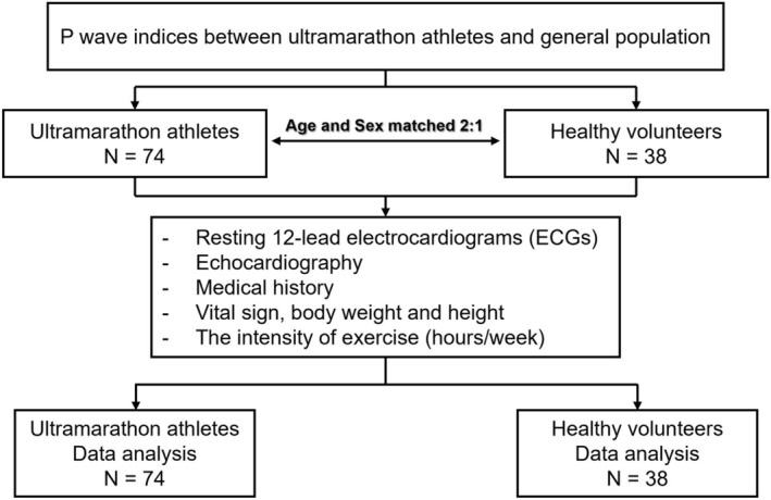 FIGURE 1