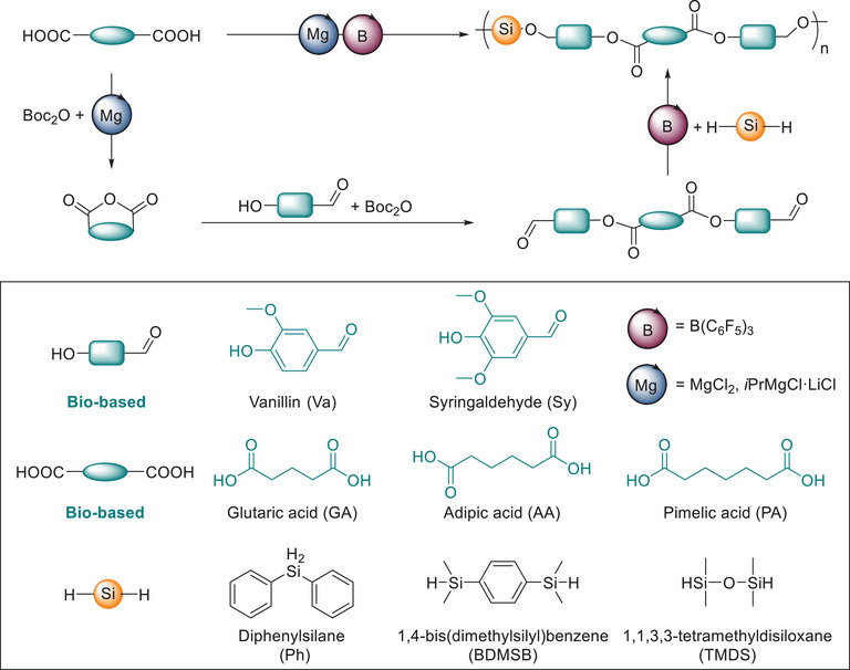 Scheme 1
