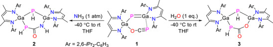Scheme 2
