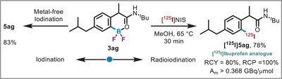 Scheme 5