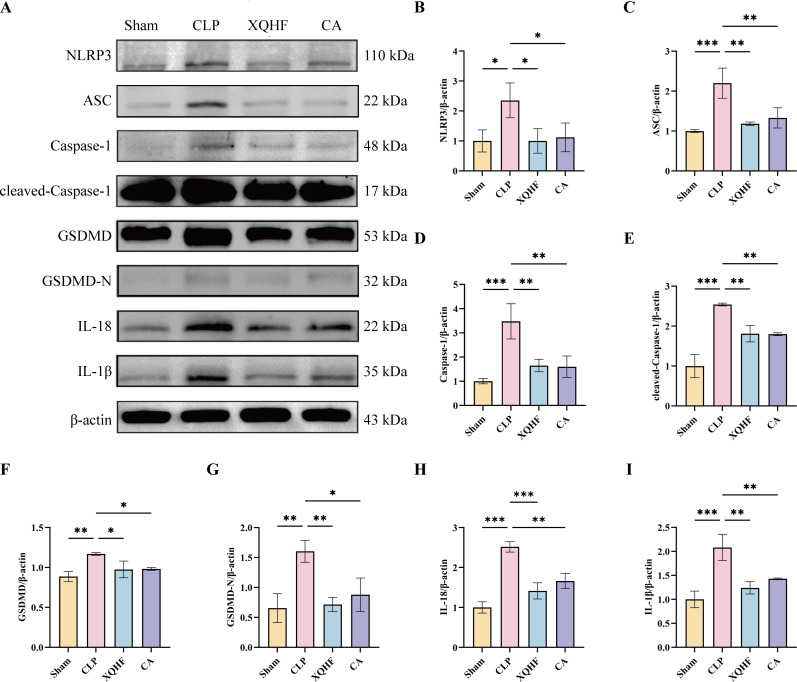 Figure 5