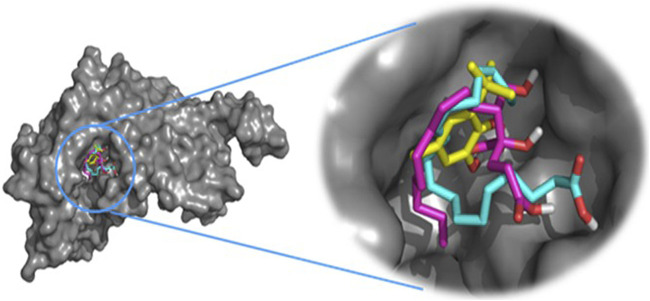FIGURE 7