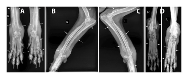 FIGURE 4