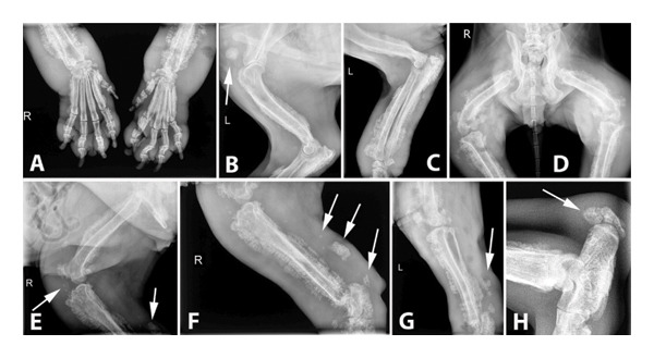 FIGURE 3