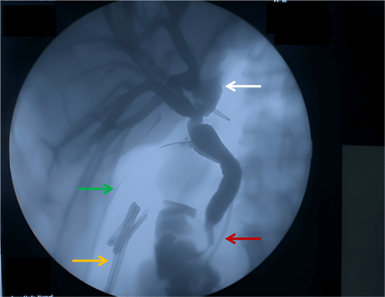 Figure 5