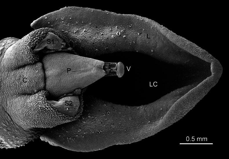 Figure 14
