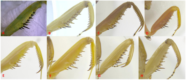 Figure 4
