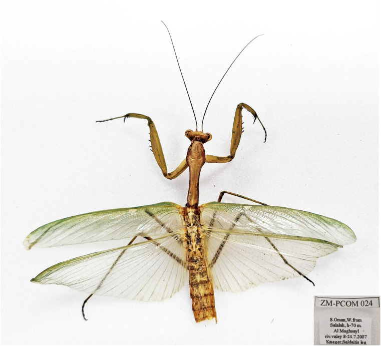 Figure 13